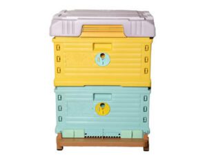 2-Slojna 10 Ramova plastična tromo košnica