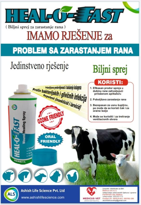 Novosti