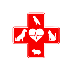 Veterinarske usluge